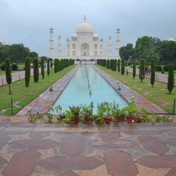 The taj mahal