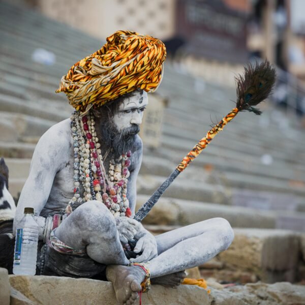best tour operator in india