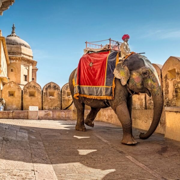 Golden Triangle Tour India