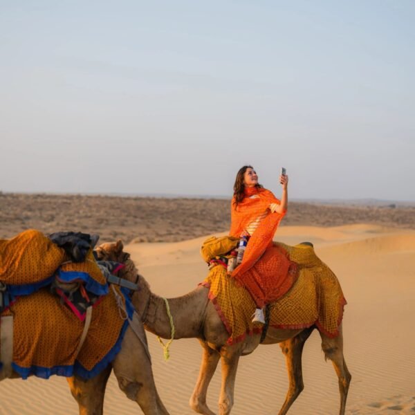 india tour