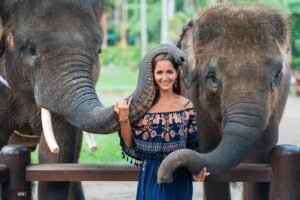 Taj with Elephant