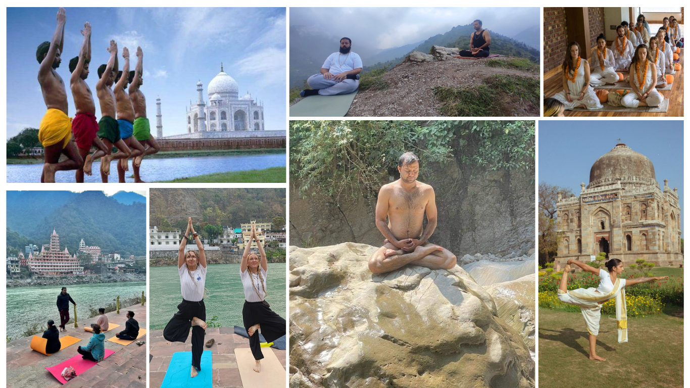 yoga tour india