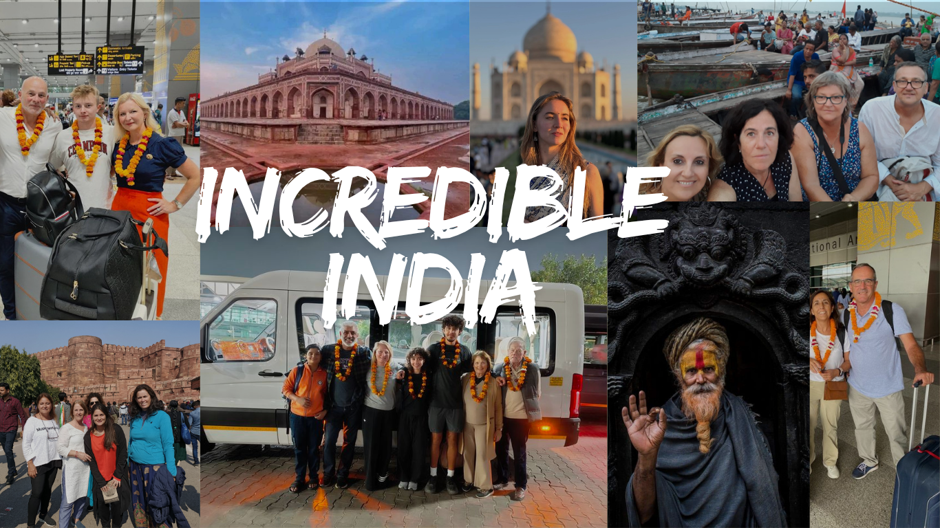 Read more about the article Best Time to Visit India